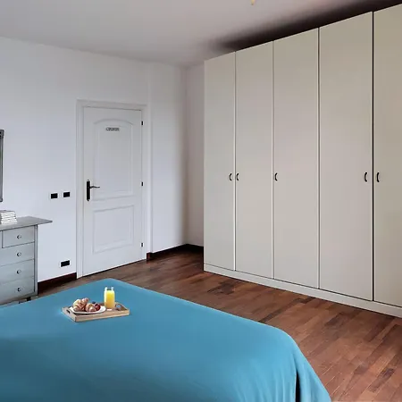 Gelsi